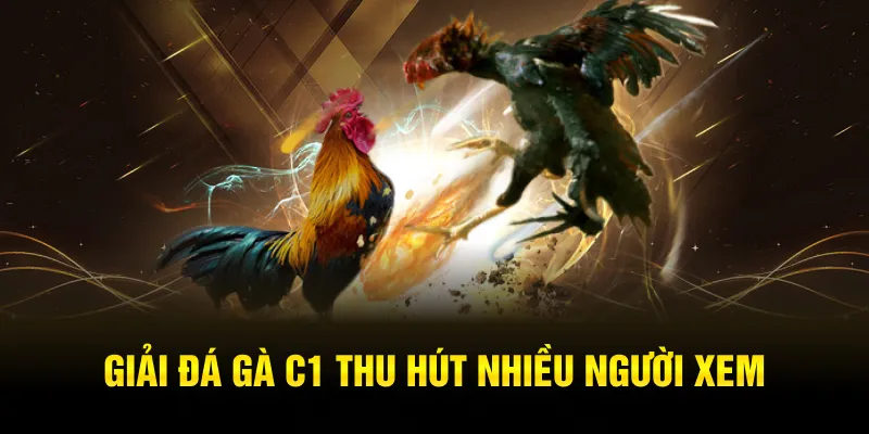 Giải đá gà C1 thu hút nhiều người xem 